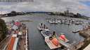 ./images/victoria/wharf/20260801/wharf20260801_151001M.jpg