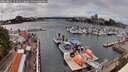 ./images/victoria/wharf/20260801/wharf20260801_153501M.jpg