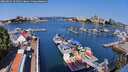 ./images/victoria/wharf/20260803/wharf20260803_101001M.jpg
