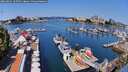 ./images/victoria/wharf/20260803/wharf20260803_105502M.jpg