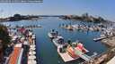 ./images/victoria/wharf/20260806/wharf20260806_143501M.jpg