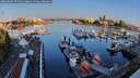 ./images/victoria/wharf/20260807/wharf20260807_071501M.jpg