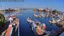 ./images/victoria/wharf/20260807/wharf20260807_085502M.jpg