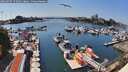 ./images/victoria/wharf/20260807/wharf20260807_152002M.jpg