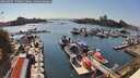 ./images/victoria/wharf/20260807/wharf20260807_170001M.jpg