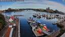 ./images/victoria/wharf/20260808/wharf20260808_095001M.jpg
