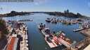 ./images/victoria/wharf/20260808/wharf20260808_164501M.jpg
