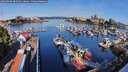 ./images/victoria/wharf/20260809/wharf20260809_085001M.jpg