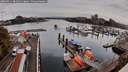./images/victoria/wharf/20260911/wharf20260911_082501M.jpg