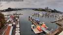 ./images/victoria/wharf/20260911/wharf20260911_142502M.jpg
