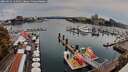./images/victoria/wharf/20260912/wharf20260912_133501M.jpg